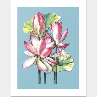 Lotus Flowers Watercolor Painting Posters and Art